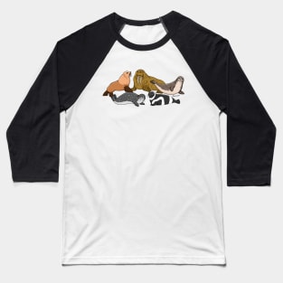 Alaskan Pinnipeds Baseball T-Shirt